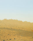 An abstract landscape screen print capturing the shimmering heat of sun-baked terrain beneath a pale blue sky.